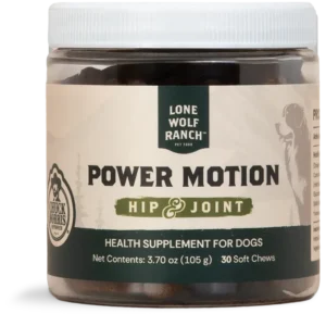 Power Motion Hip Joint