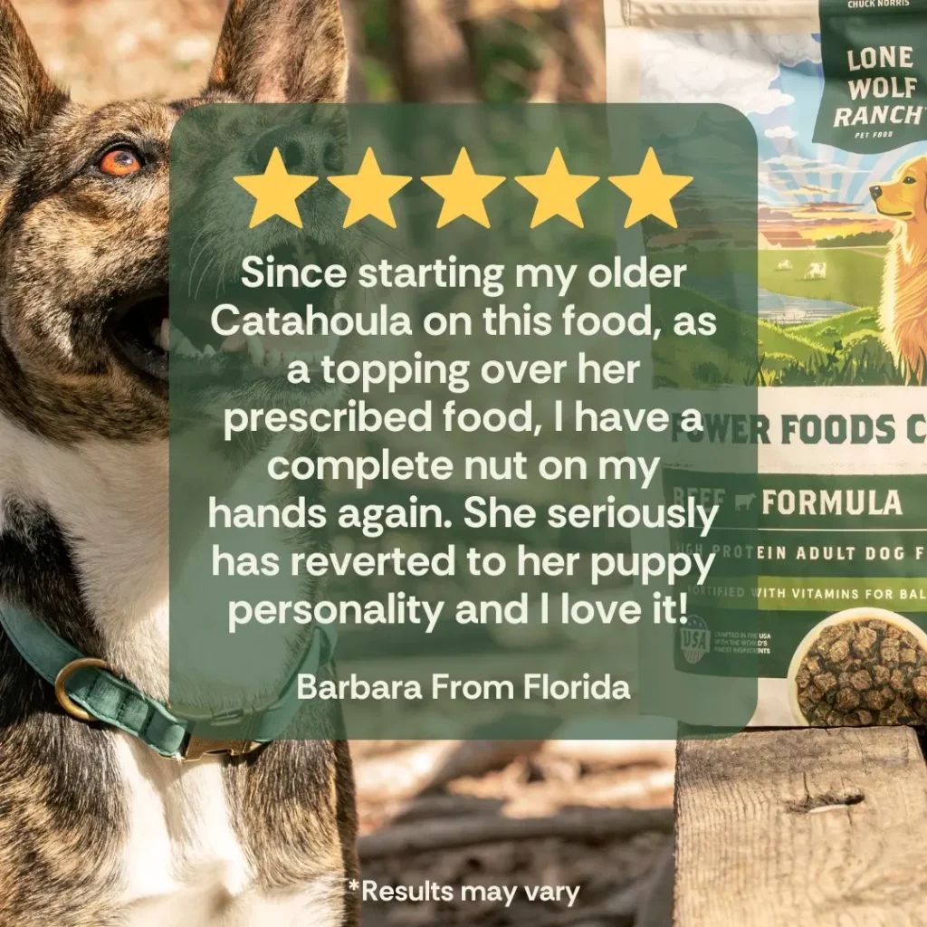 Instagram post: Give your dog the power to thrive at any stage of life!