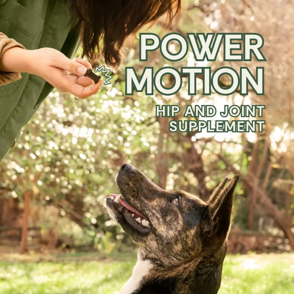 Instagram featured post: Power Motion hip and joint supplement